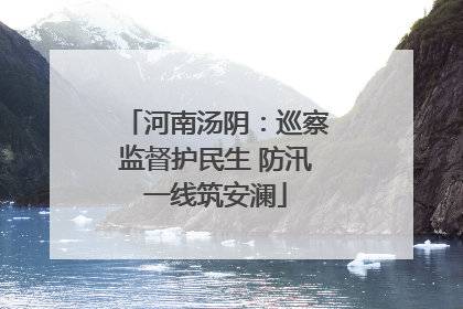 河南汤阴：巡察监督护民生 防汛一线筑安澜