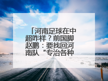 河南足球在中超咋样？前国脚赵鹏：要找回河南队“专治各种不服”的精神