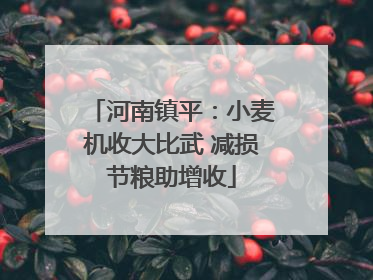 河南镇平：小麦机收大比武 减损节粮助增收
