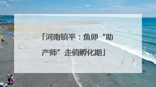 河南镇平：鱼卵“助产师”走俏孵化期