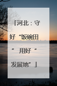 河北：守好“饭碗田” 用好“发展地”