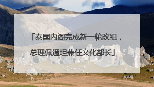 泰国内阁完成新一轮改组，总理佩通坦兼任文化部长