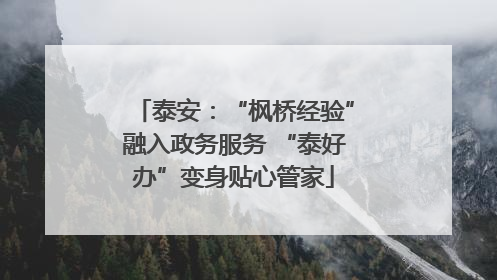 泰安：“枫桥经验”融入政务服务 “泰好办”变身贴心管家