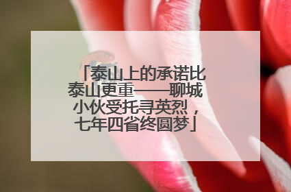 泰山上的承诺比泰山更重——聊城小伙受托寻英烈，七年四省终圆梦