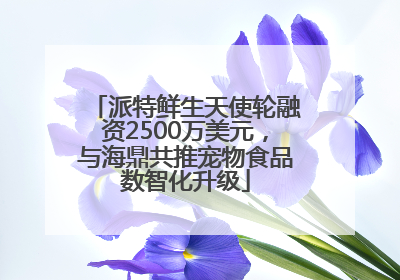 派特鲜生天使轮融资2500万美元，与海鼎共推宠物食品数智化升级