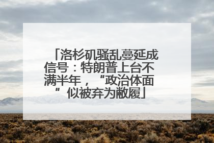 洛杉矶骚乱蔓延成信号：特朗普上台不满半年，“政治体面”似被弃为敝履