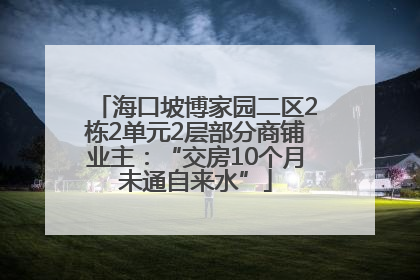 海口坡博家园二区2栋2单元2层部分商铺业主：“交房10个月未通自来水”