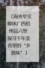 海外华文媒体广西梧州品六堡 探寻千年茶香里的“乡愁味”