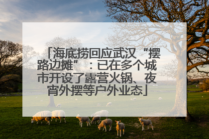 海底捞回应武汉“摆路边摊”：已在多个城市开设了露营火锅、夜宵外摆等户外业态