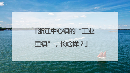 浙江中心镇的“工业重镇”，长啥样？
