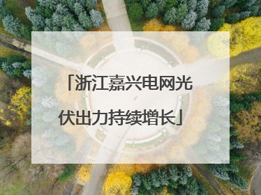 浙江嘉兴电网光伏出力持续增长