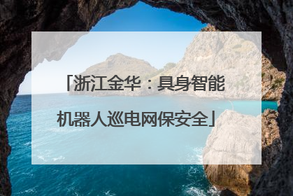 浙江金华：具身智能机器人巡电网保安全