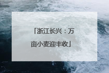 浙江长兴：万亩小麦迎丰收