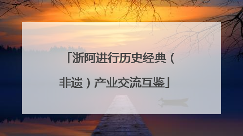 浙阿进行历史经典（非遗）产业交流互鉴