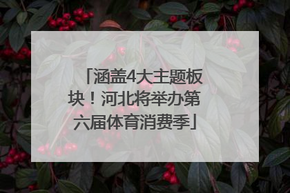 涵盖4大主题板块！河北将举办第六届体育消费季