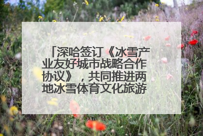 深哈签订《冰雪产业友好城市战略合作协议》，共同推进两地冰雪体育文化旅游高质量发展