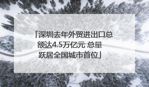 深圳去年外贸进出口总额达4.5万亿元 总量跃居全国城市首位