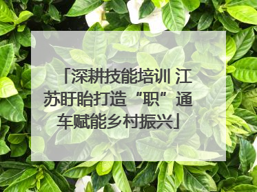 深耕技能培训 江苏盱眙打造“职”通车赋能乡村振兴