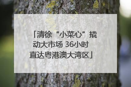 清徐“小菜心”撬动大市场 36小时直达粤港澳大湾区