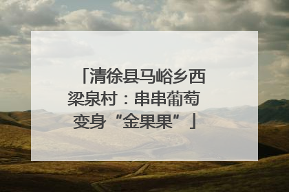 清徐县马峪乡西梁泉村：串串葡萄变身“金果果”