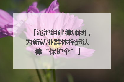 渑池组建律师团，为新就业群体撑起法律“保护伞”