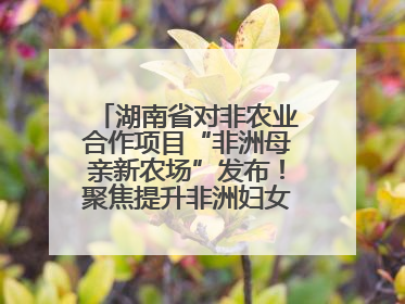 湖南省对非农业合作项目“非洲母亲新农场”发布！聚焦提升非洲妇女能力与家庭福祉