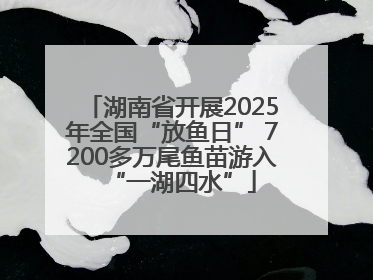 湖南省开展2025年全国“放鱼日” 7200多万尾鱼苗游入“一湖四水”