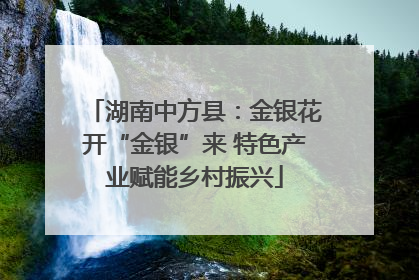 湖南中方县：金银花开“金银”来 特色产业赋能乡村振兴