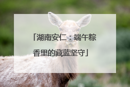 湖南安仁：端午粽香里的藏蓝坚守