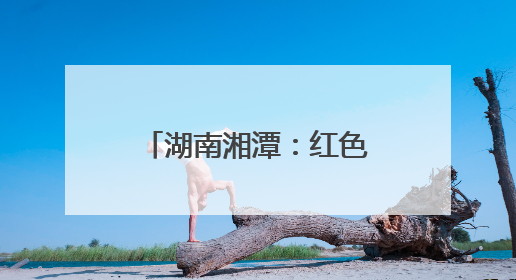 湖南湘潭：红色故土上的“枫桥经验”新实践