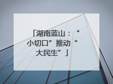湖南蓝山：“小切口”推动“大民生”