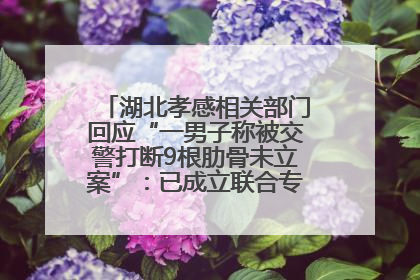 湖北孝感相关部门回应“一男子称被交警打断9根肋骨未立案”：已成立联合专班开展工作