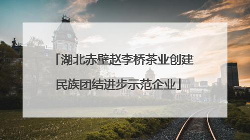 湖北赤壁赵李桥茶业创建民族团结进步示范企业