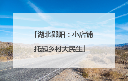 湖北郧阳：小店铺托起乡村大民生