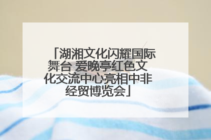 湖湘文化闪耀国际舞台 爱晚亭红色文化交流中心亮相中非经贸博览会