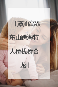 漳汕高铁东山跨海特大桥栈桥合龙