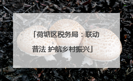 荷塘区税务局：联动普法 护航乡村振兴