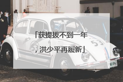 获提拔不到一年，洪少平再履新