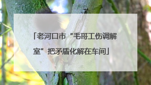 老河口市“毛哥工伤调解室”把矛盾化解在车间