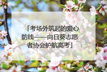 考场外筑起的爱心防线——向日葵志愿者协会护航高考