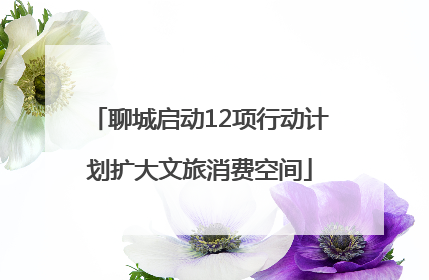 聊城启动12项行动计划扩大文旅消费空间