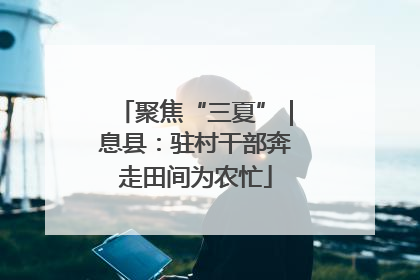 聚焦“三夏”｜息县：驻村干部奔走田间为农忙