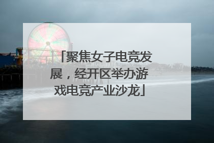 聚焦女子电竞发展，经开区举办游戏电竞产业沙龙
