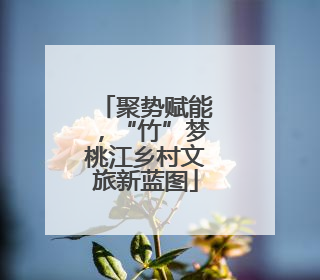 聚势赋能，“竹”梦桃江乡村文旅新蓝图