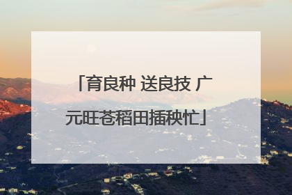 育良种 送良技 广元旺苍稻田插秧忙