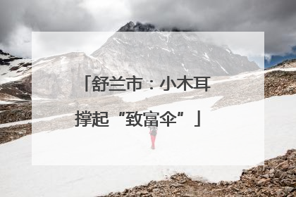 舒兰市：小木耳撑起“致富伞”