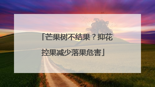 芒果树不结果？抑花控果减少落果危害
