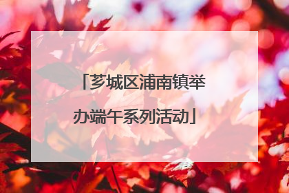 芗城区浦南镇举办端午系列活动