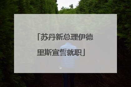 苏丹新总理伊德里斯宣誓就职