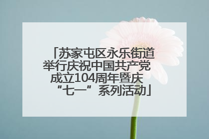 苏家屯区永乐街道举行庆祝中国共产党成立104周年暨庆“七一”系列活动